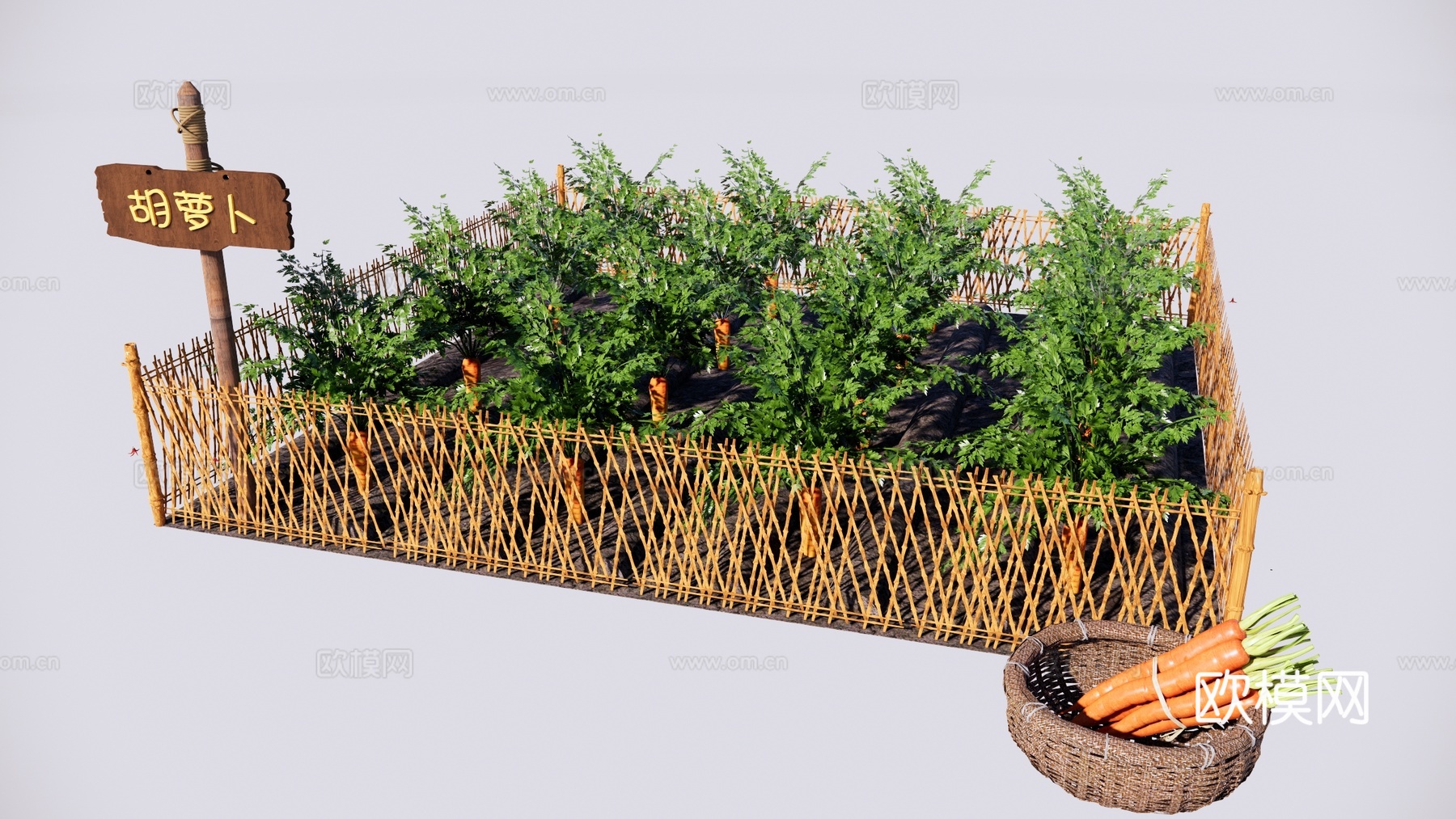 现代 菜园 乡村菜地菜园 胡萝卜种植园 一米菜园 蔬菜园su模型
