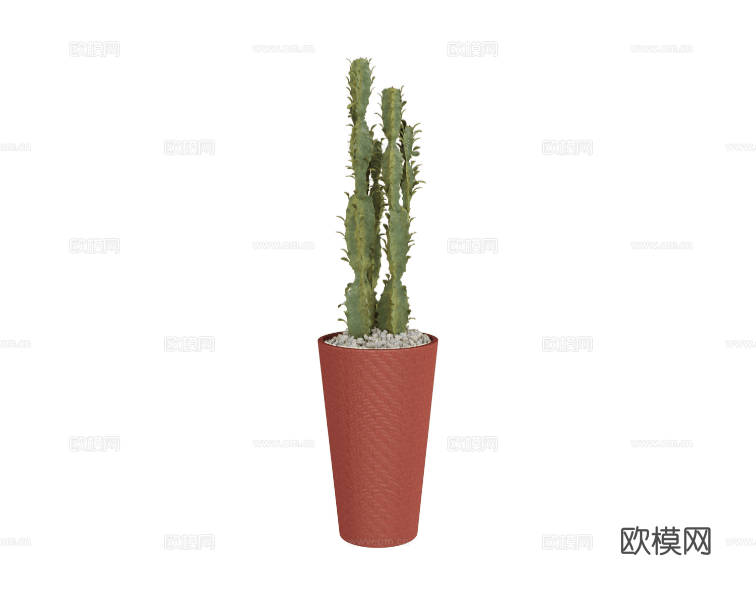 CPRN HOMOOD 仙人掌花盆3d模型下载