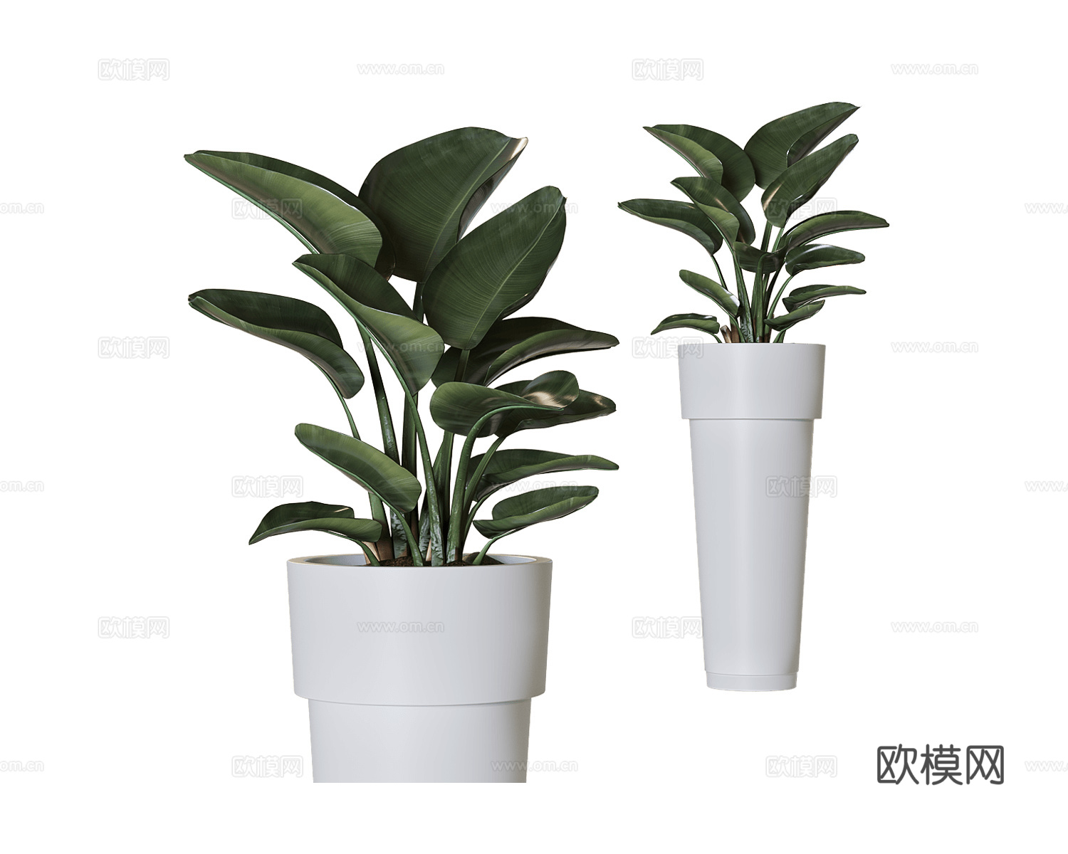 Serralunga 植物 花盆3d模型下载