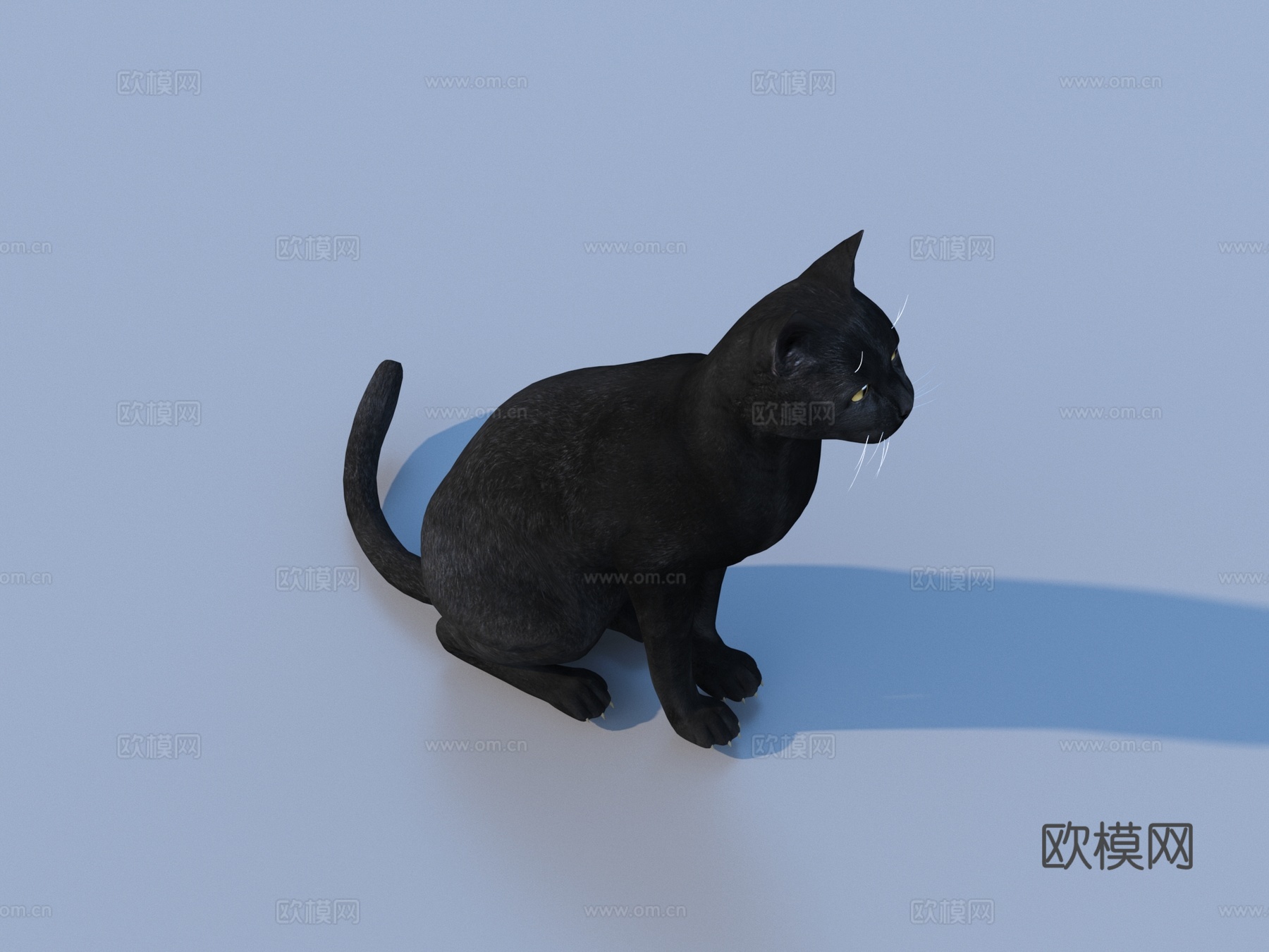 猫 宠物 小猫 花猫 家猫3d模型下载