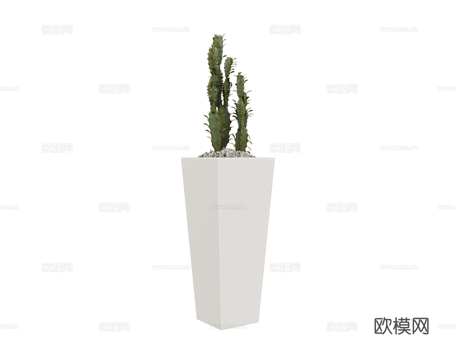 CPRN HOMOOD 仙人掌花盆3d模型下载