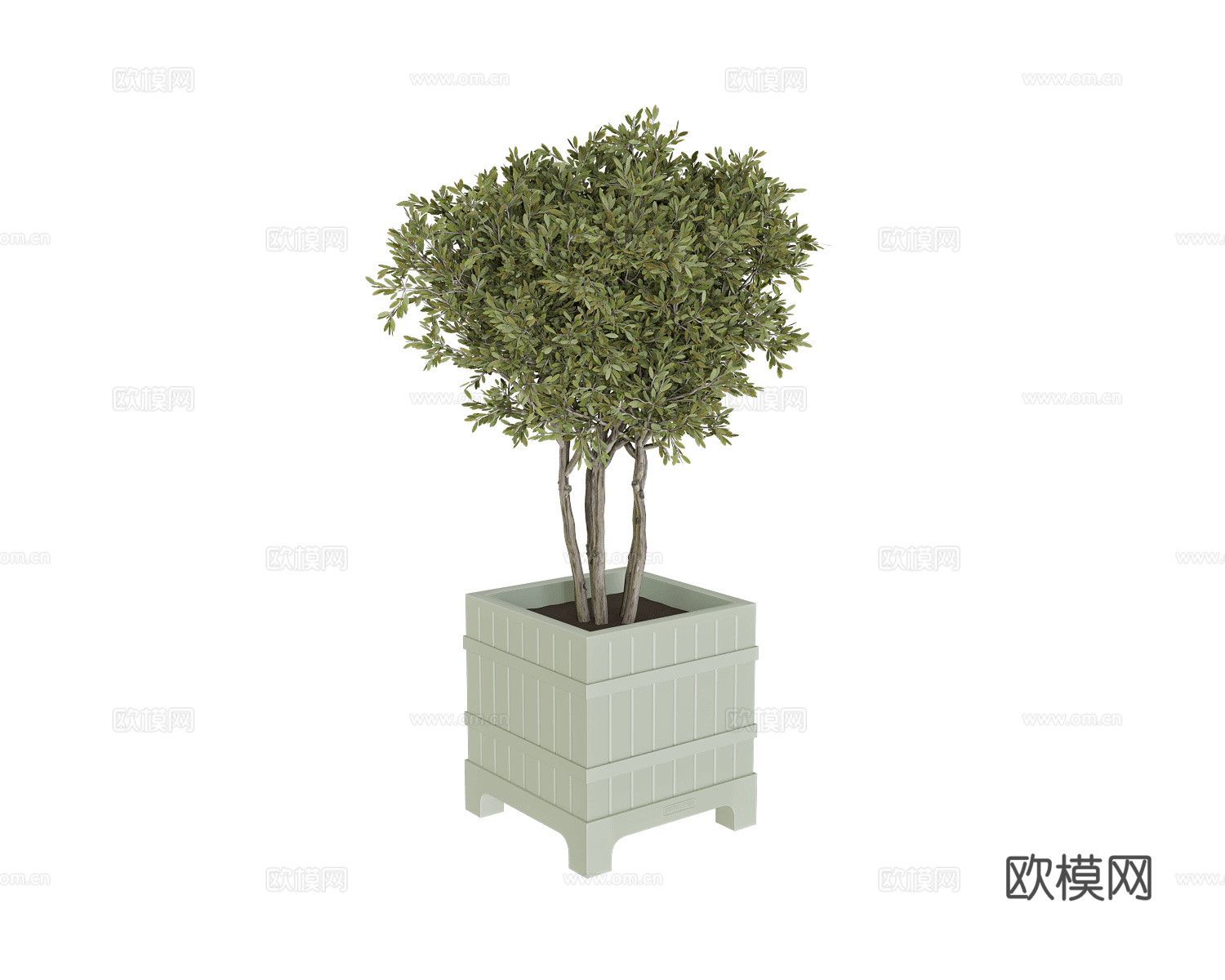 Serralunga 植物 花盆3d模型下载