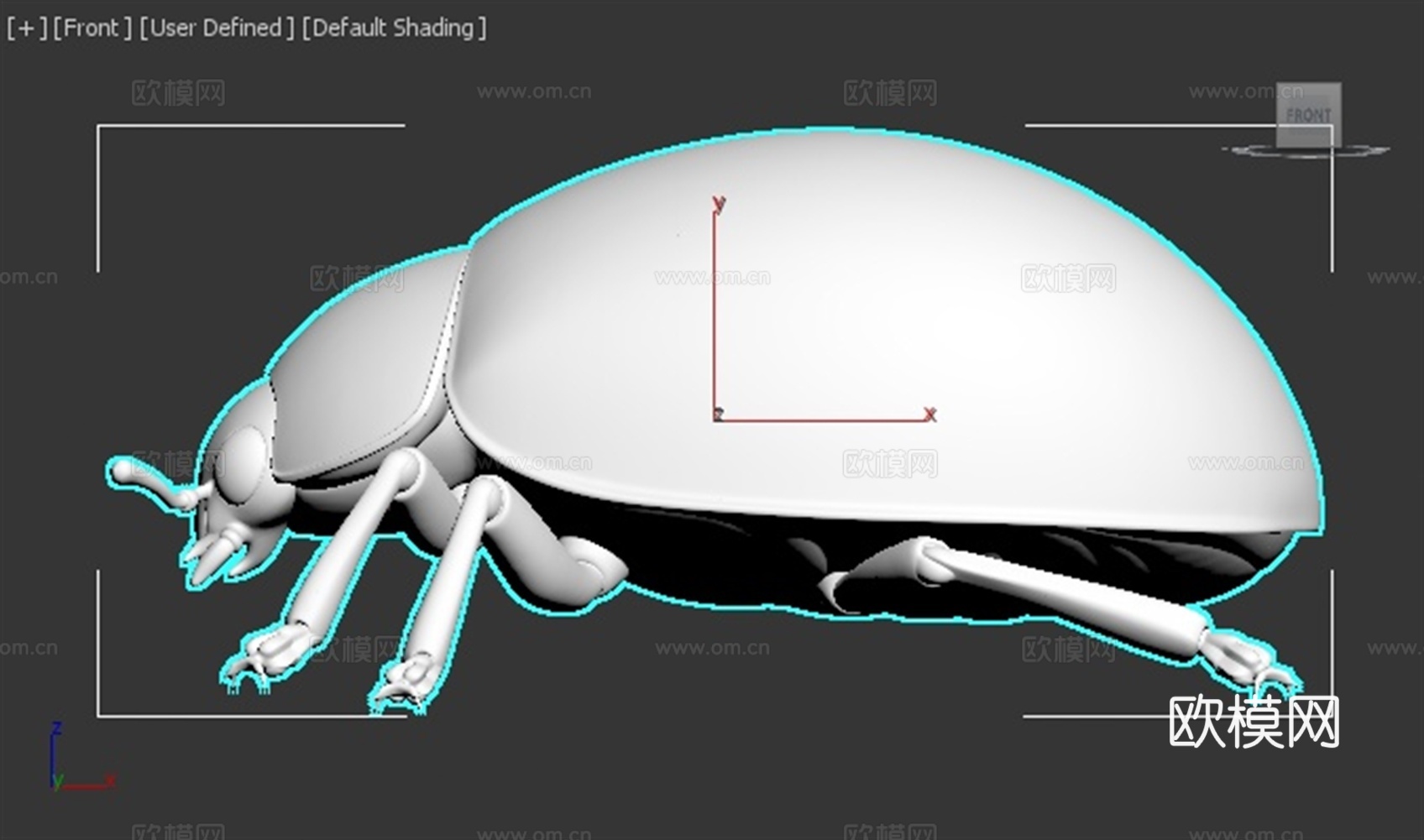 七彩瓢虫 甲虫 昆虫 写实 手办 3D打印3d模型下载（渲染图2）
