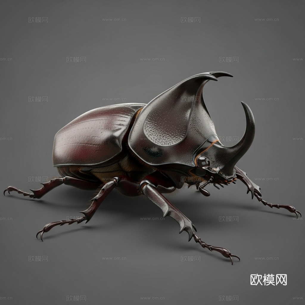 独角仙 甲虫 昆虫 写实 手办 3D打印3d模型下载（渲染图1）