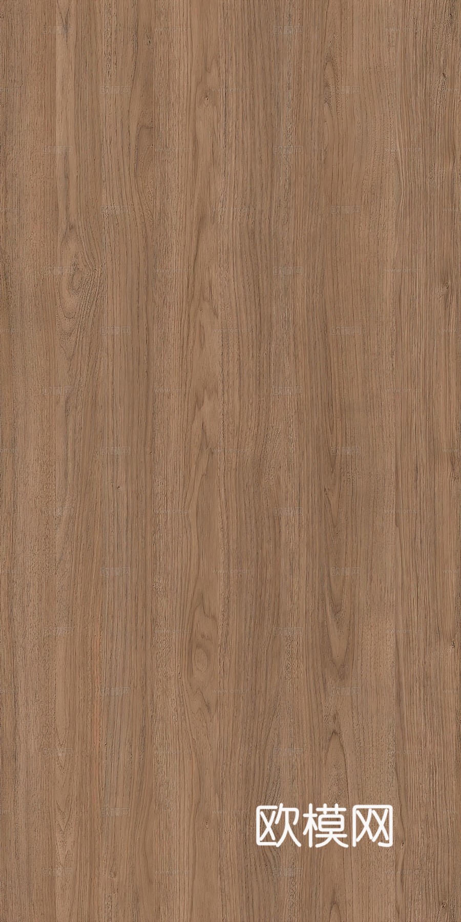 无缝木纹木饰面下载
