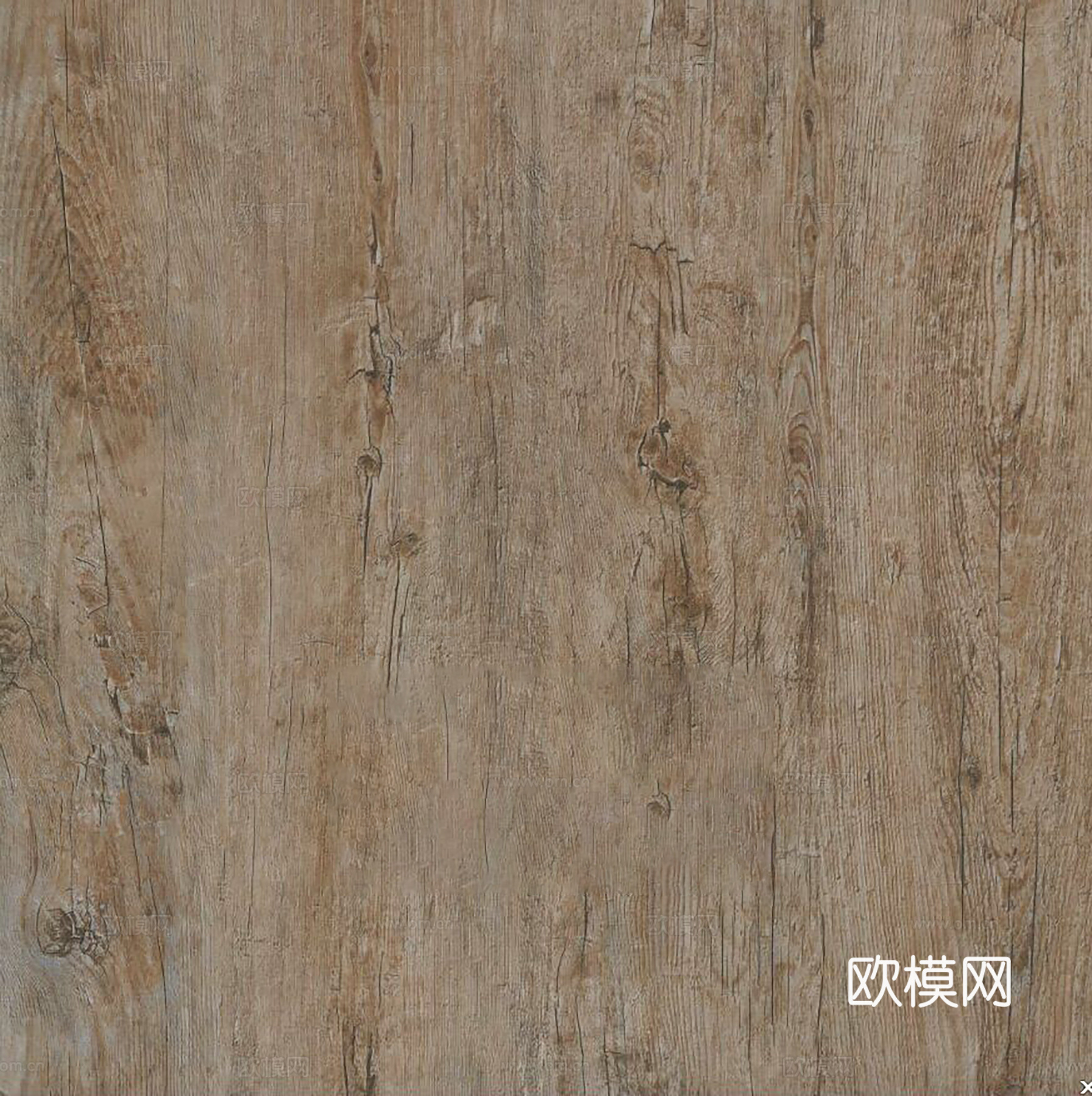 现代无缝古树表皮旧木贴图