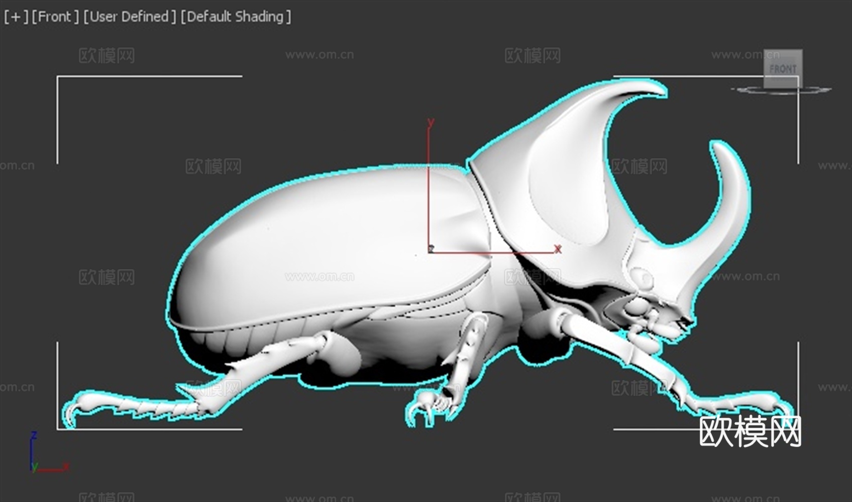 独角仙 甲虫 昆虫 写实 手办 3D打印3d模型下载（渲染图2）