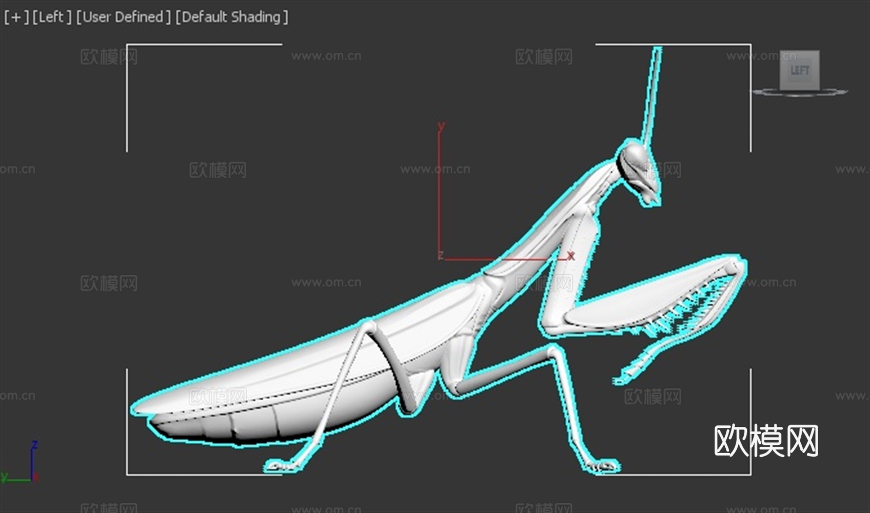 螳螂 昆虫 写实 手办 3D打印3d模型下载（渲染图3）