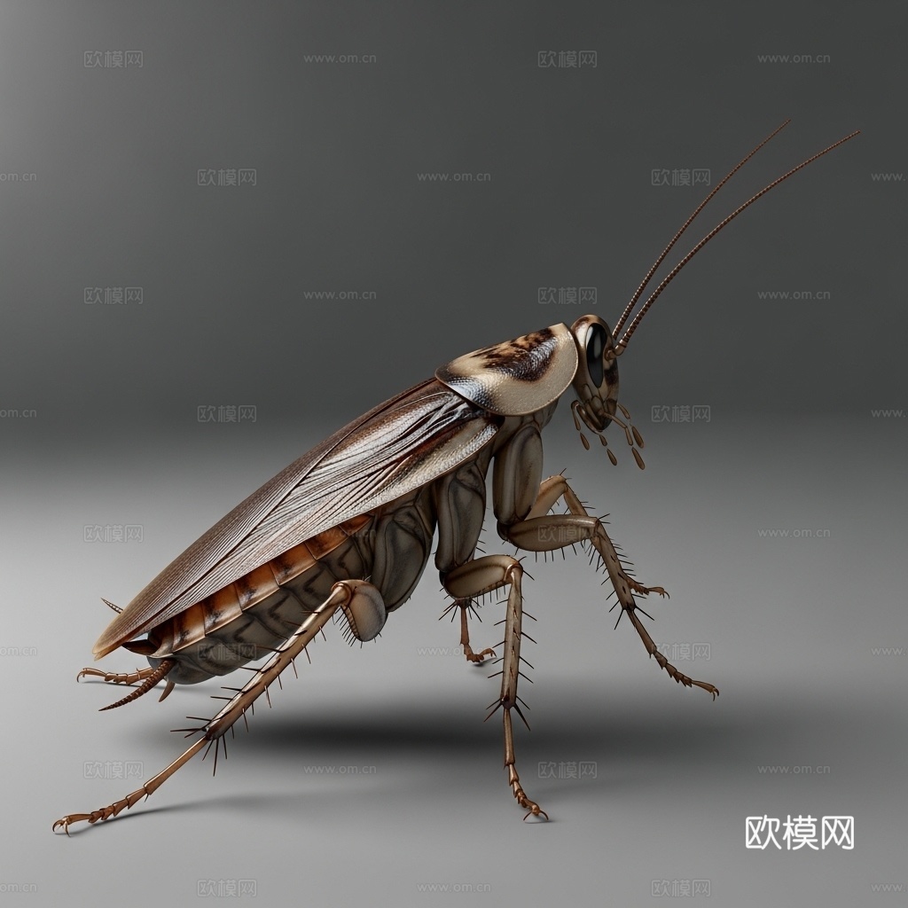 蟑螂 小强 昆虫 可爱 手办 3D打印3d模型下载（渲染图1）