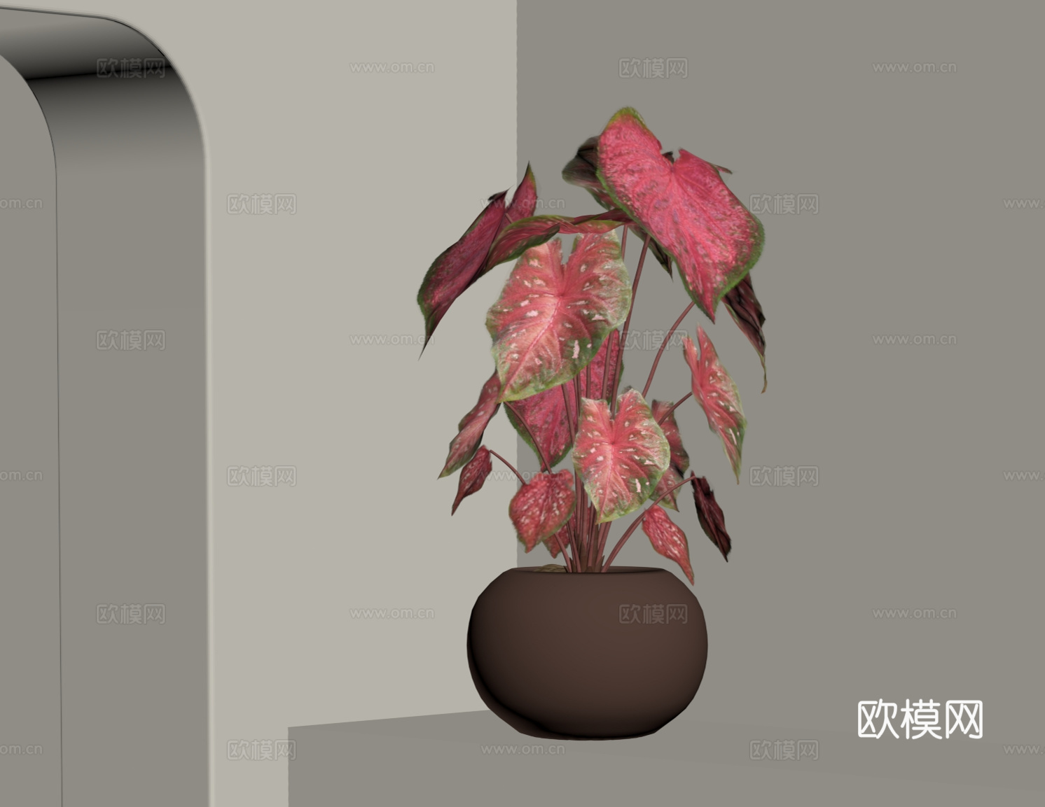现代绿植 彩叶芋 花叶芋 花卉植物su模型