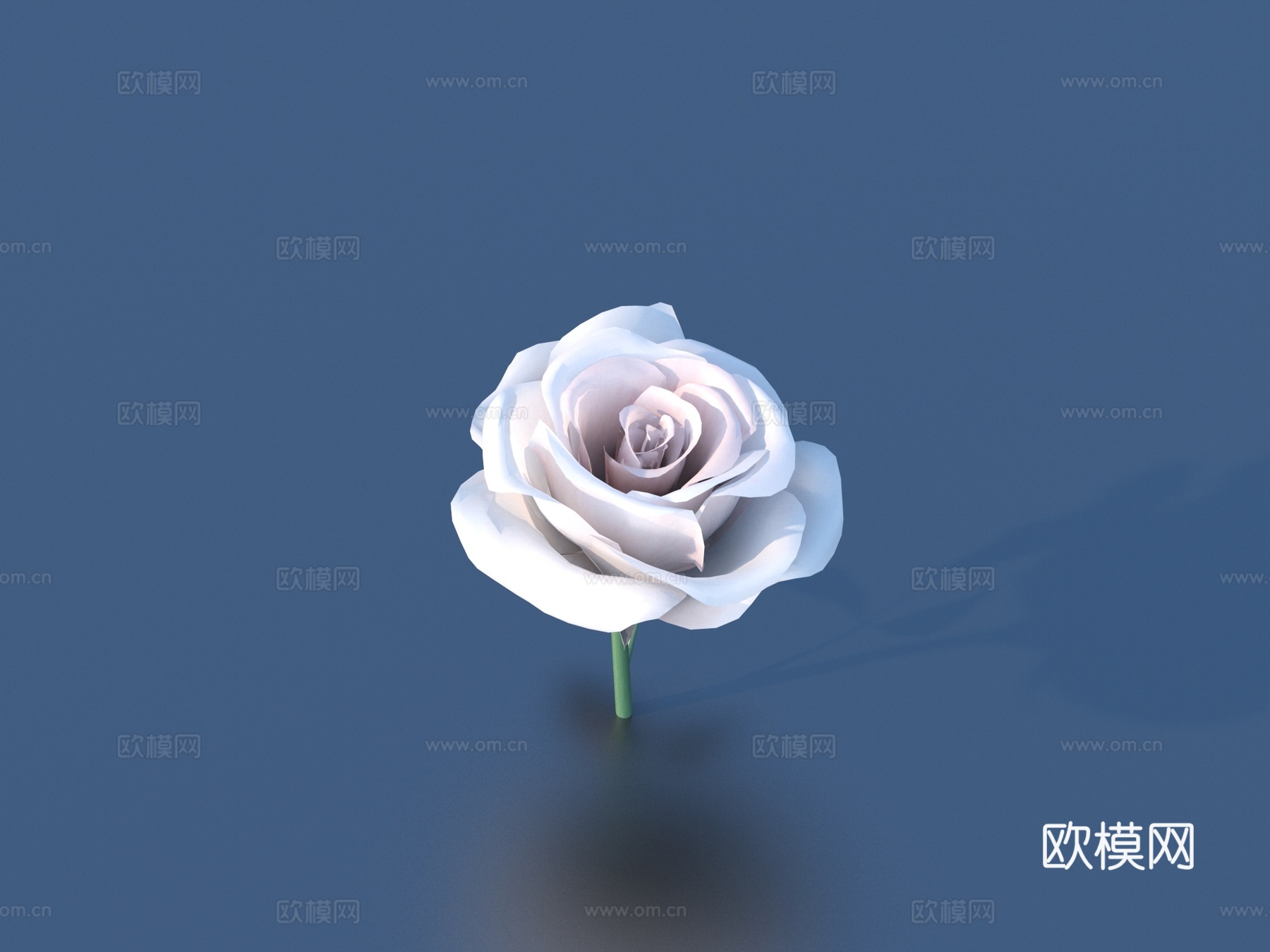 花 野花 绿植 花朵3d模型下载