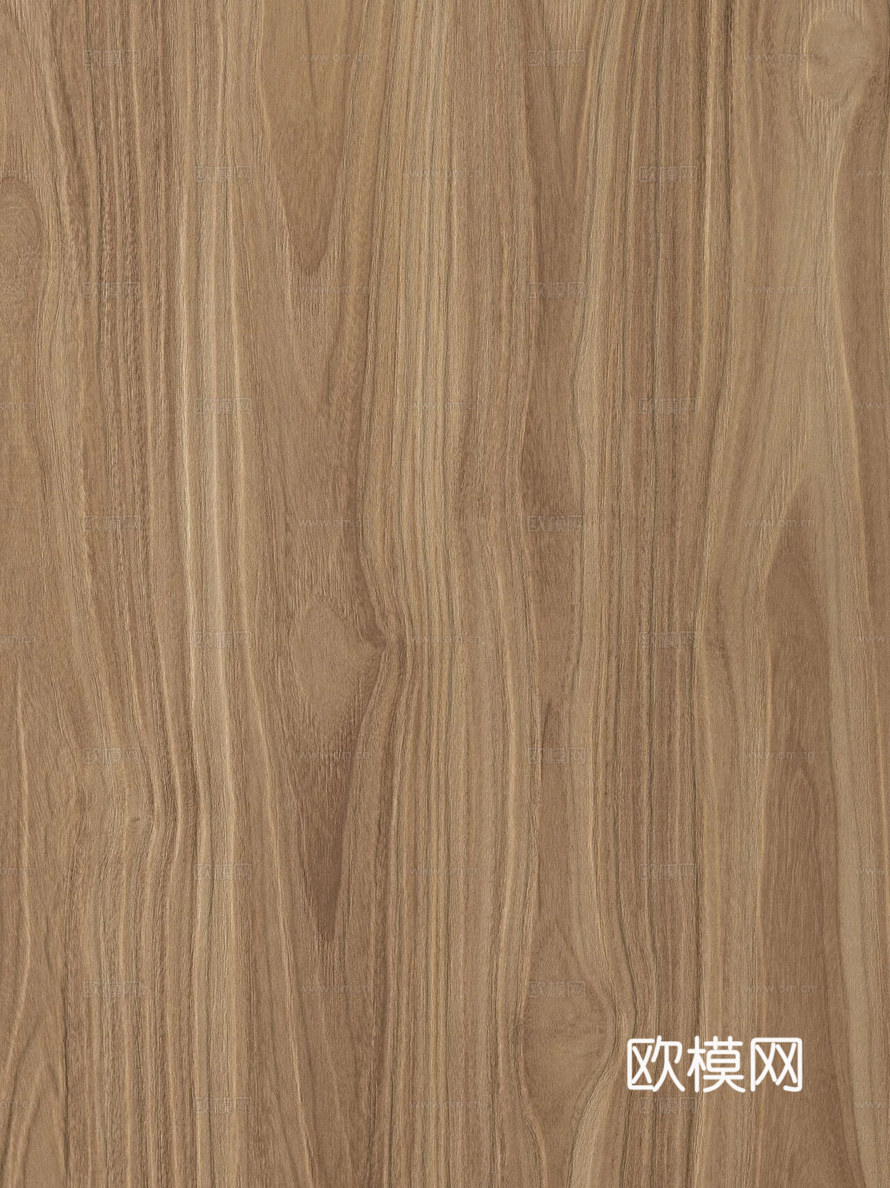 高清竖纹 木头木纹 原木 柚木 橡木
