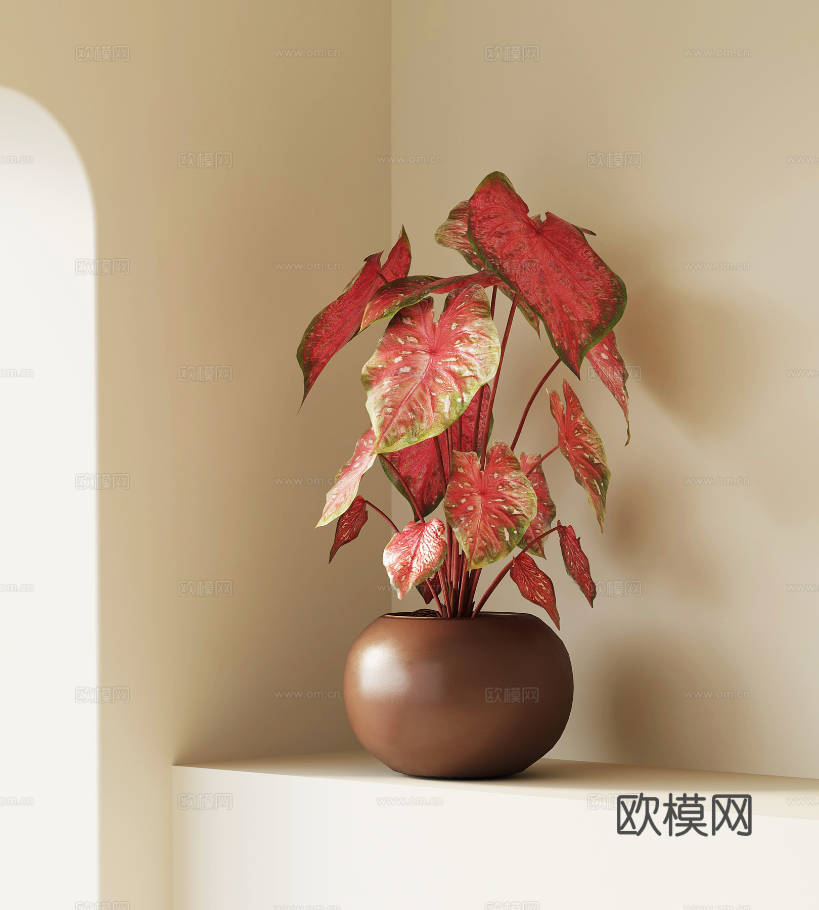 现代绿植 彩叶芋 花叶芋 花卉植物su模型