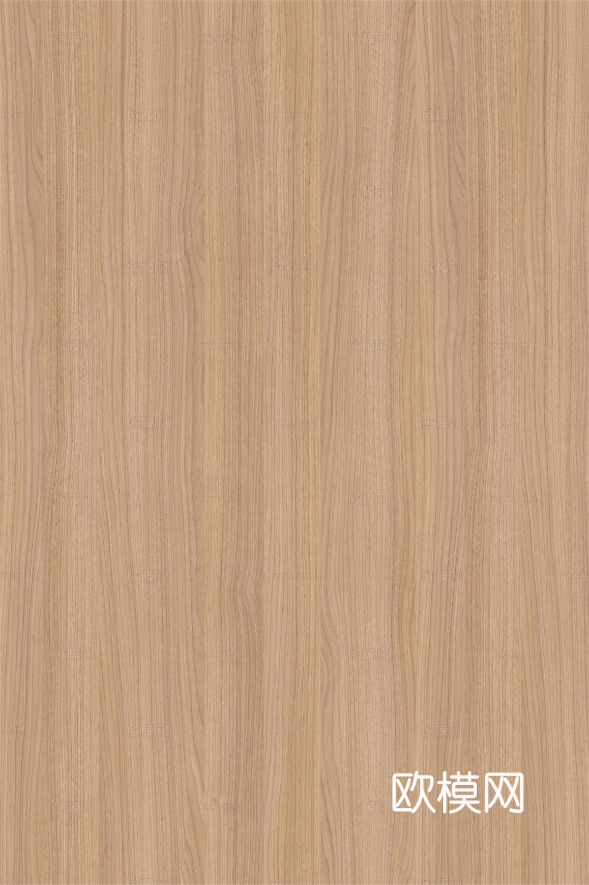 高清竖纹 木头木纹 原木 柚木 橡木