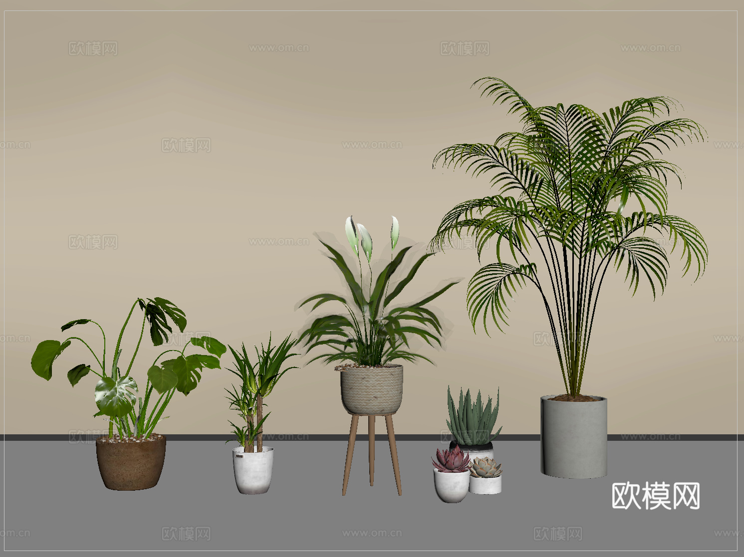 现代盆栽 植物盆栽 绿植 盆栽 盆景su模型