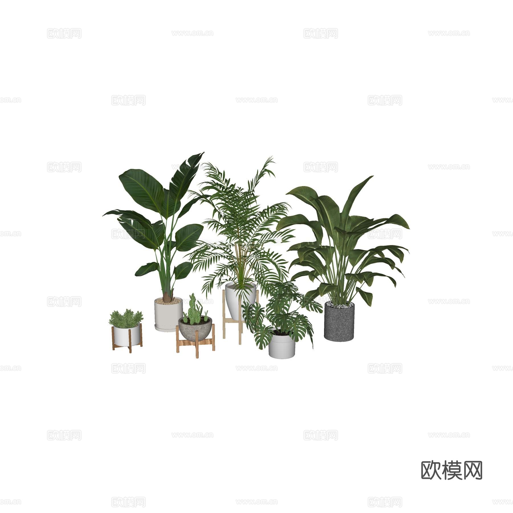 花草免费su模型