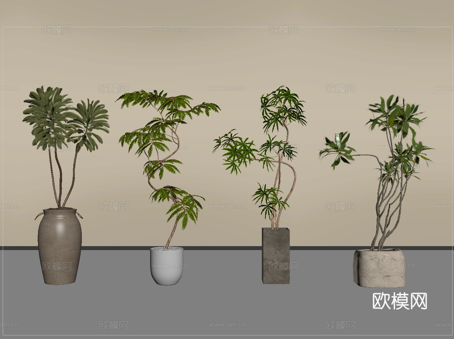 现代盆栽 植物盆栽 绿植 盆栽 盆景su模型