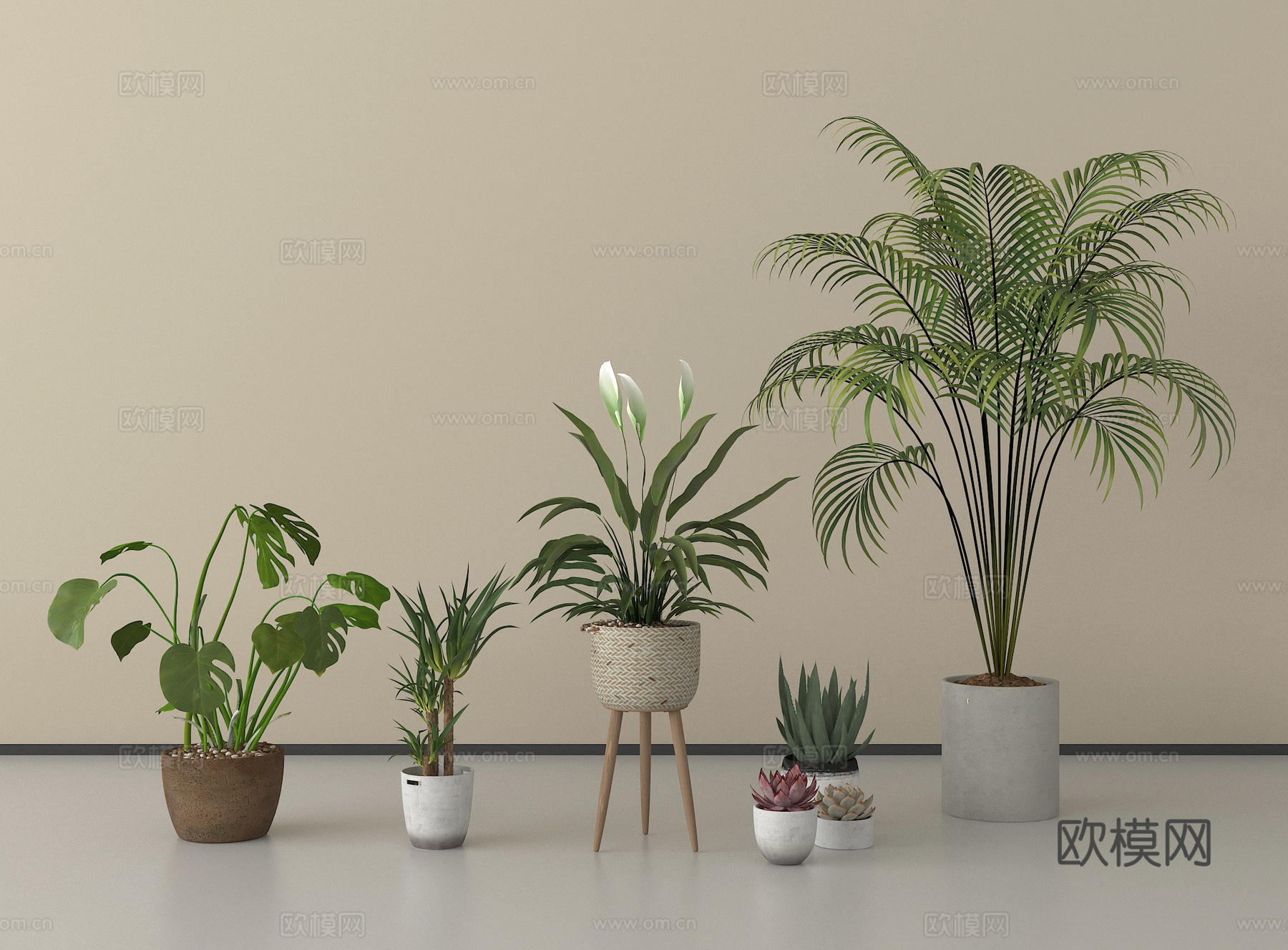 现代盆栽 植物盆栽 绿植 盆栽 盆景su模型
