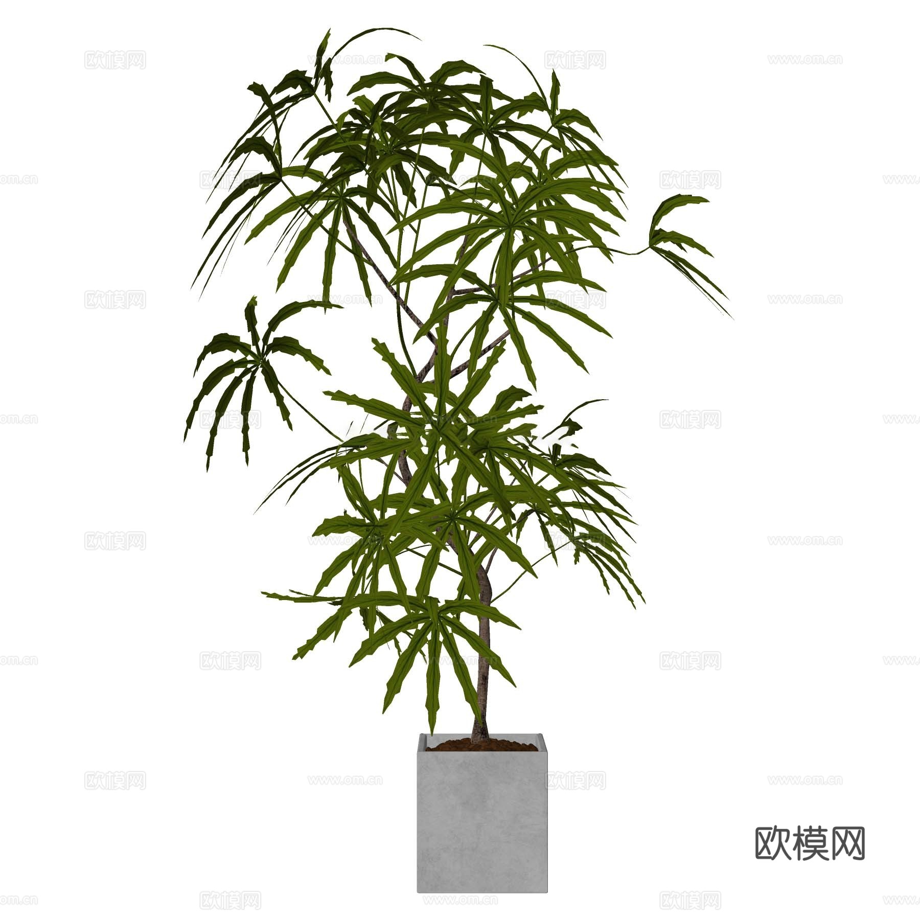 绿植su模型