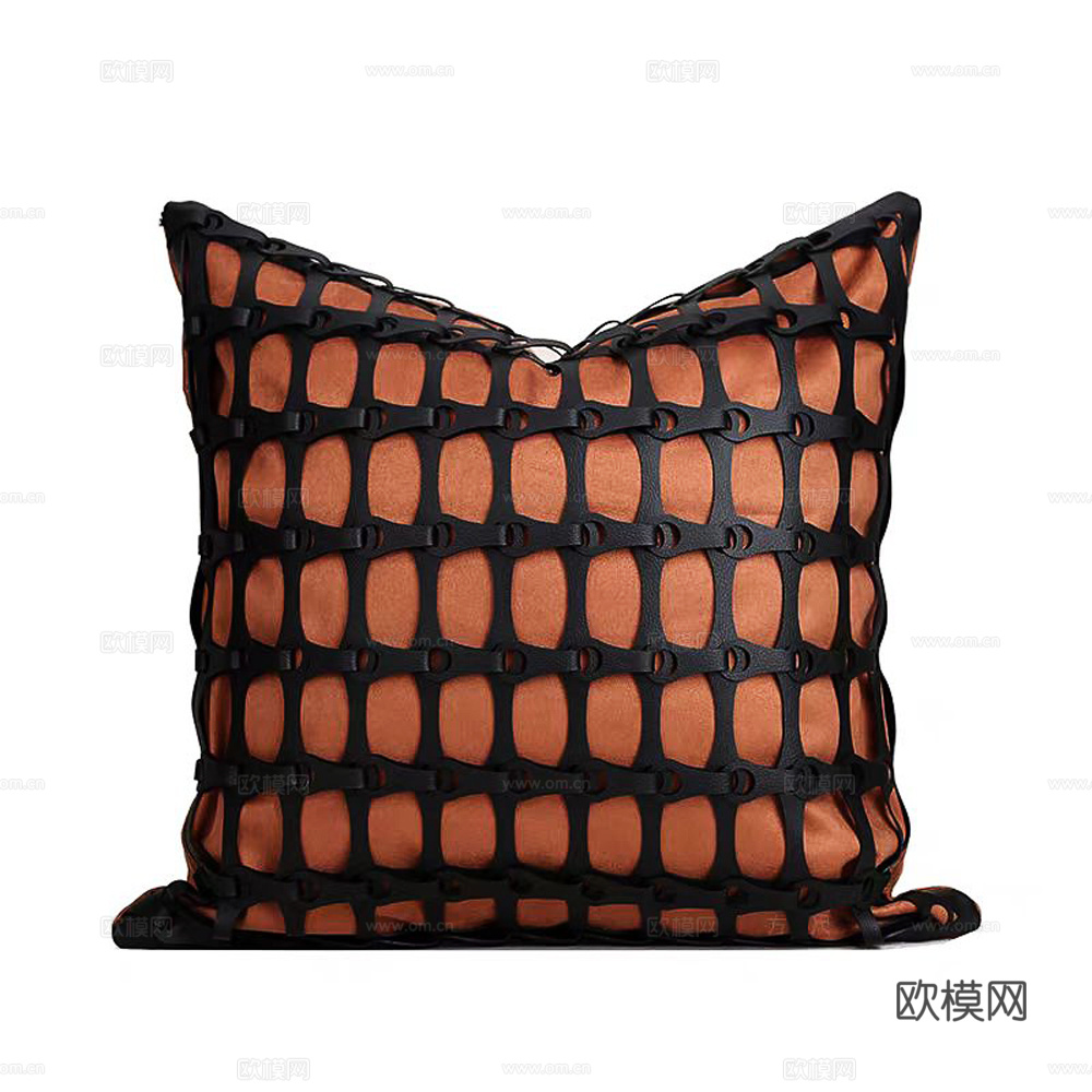 现代抱枕 枕头 印花抱枕下载