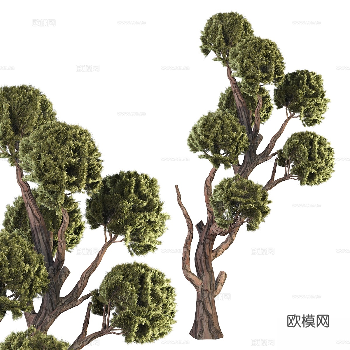 造型球树3d模型