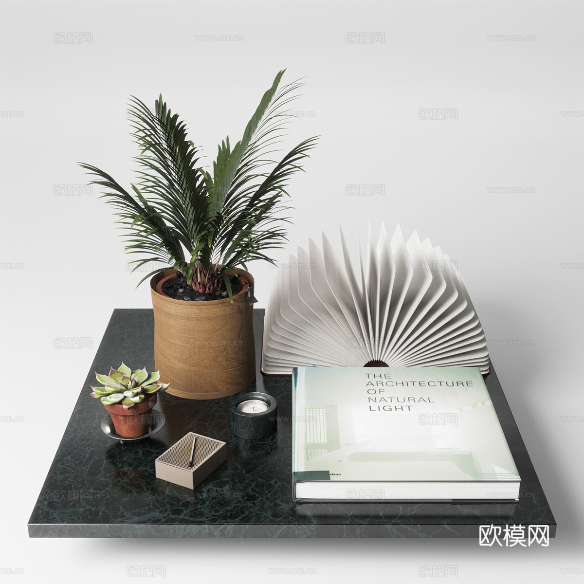 托盘绿植摆件3d模型