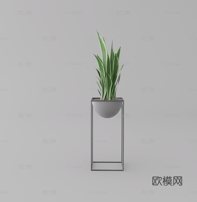 绿植盆栽su模型
