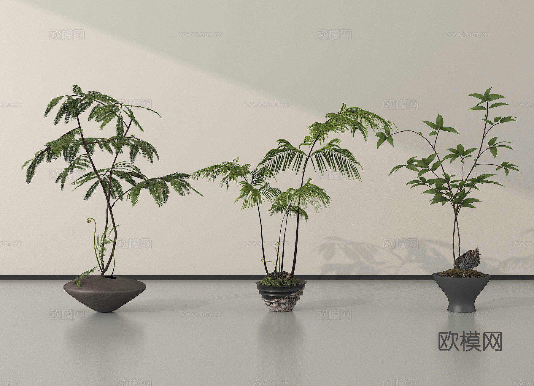 现代盆栽植物 盆栽盆景3d模型
