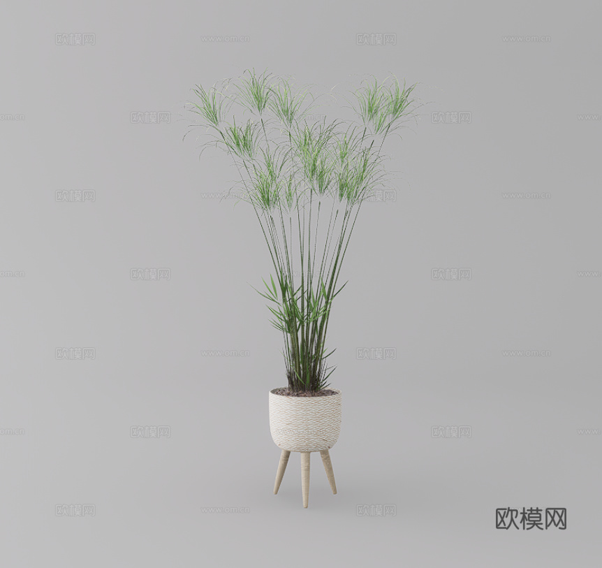 绿植盆栽su模型
