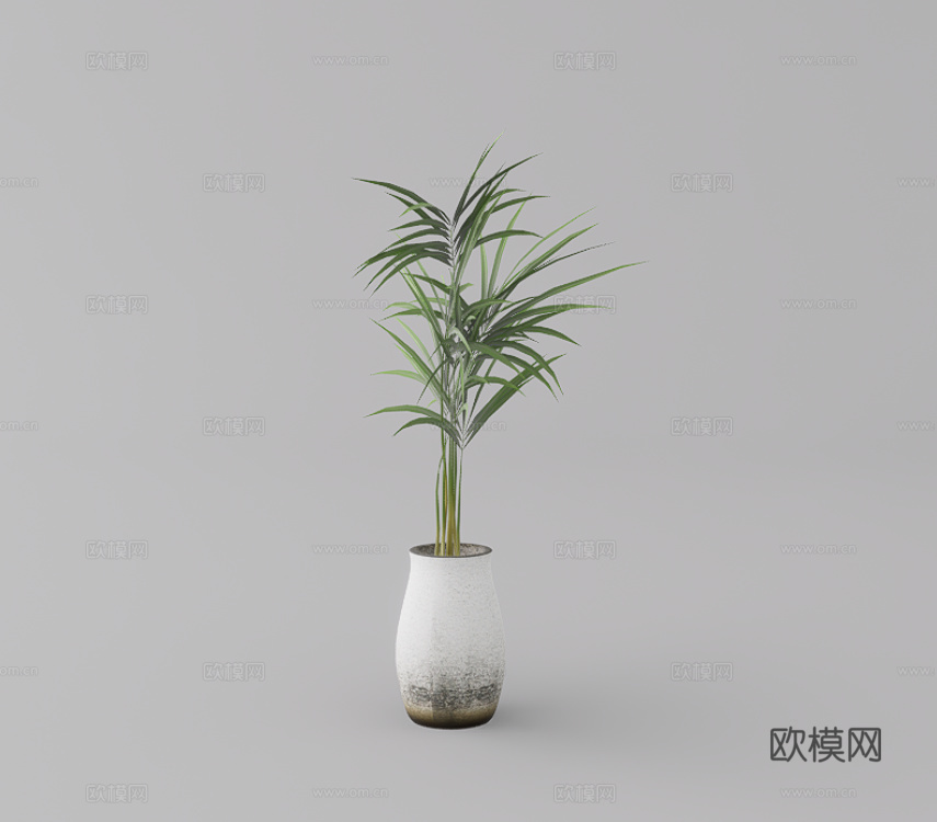 绿植盆栽su模型
