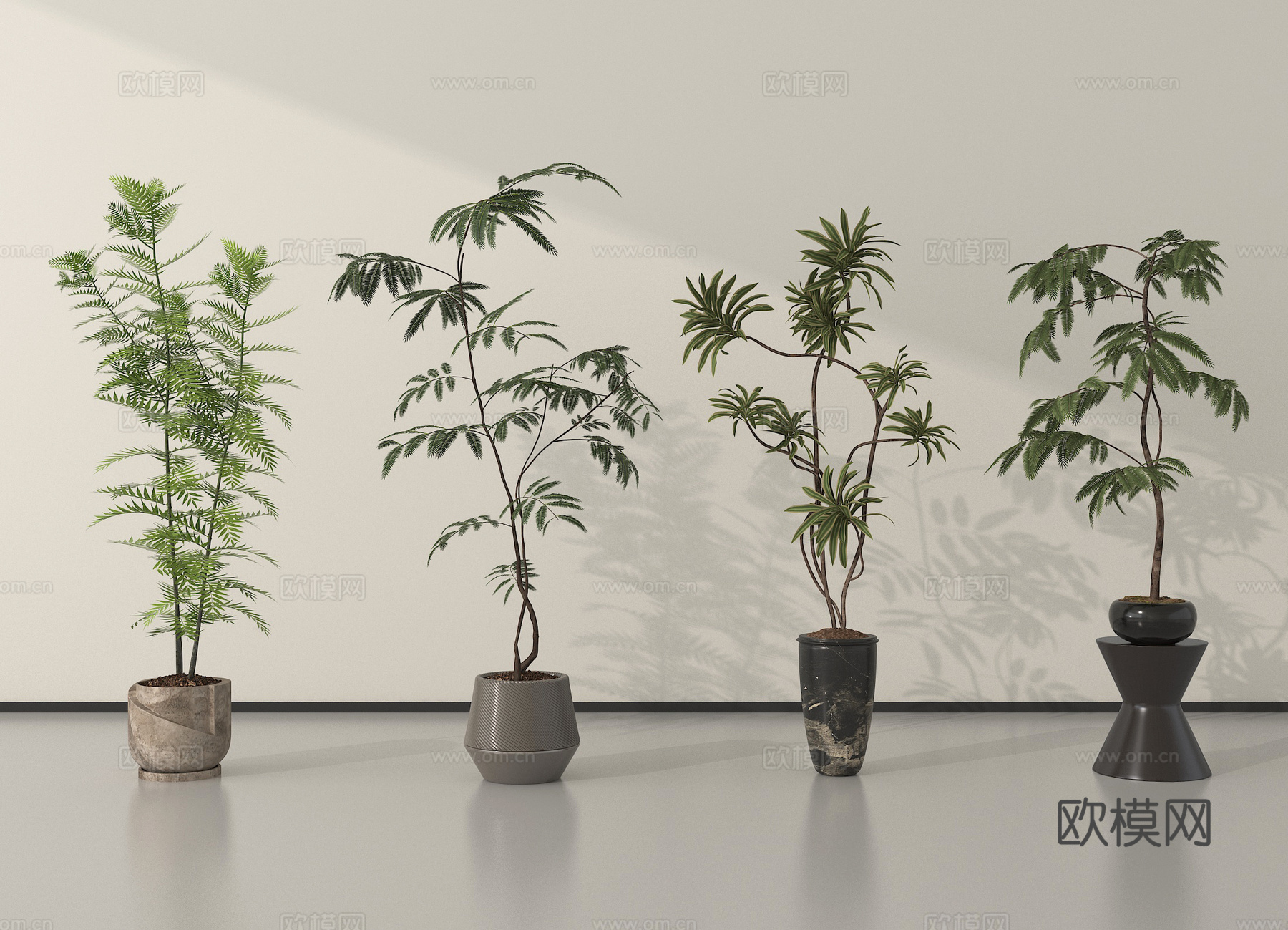 现代盆栽植物 盆栽盆景3d模型下载