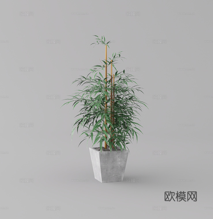 绿植盆栽su模型