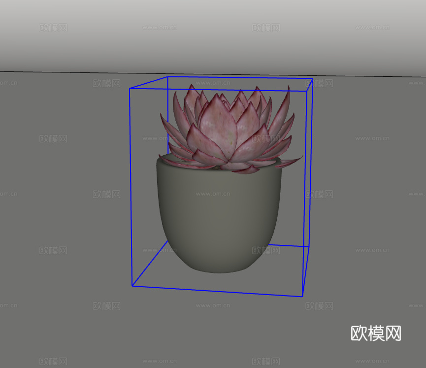 小绿植su模型