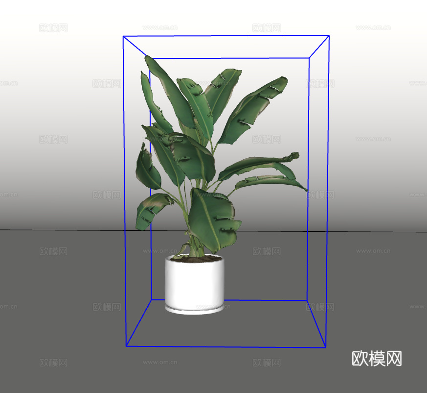 绿植盆栽su模型