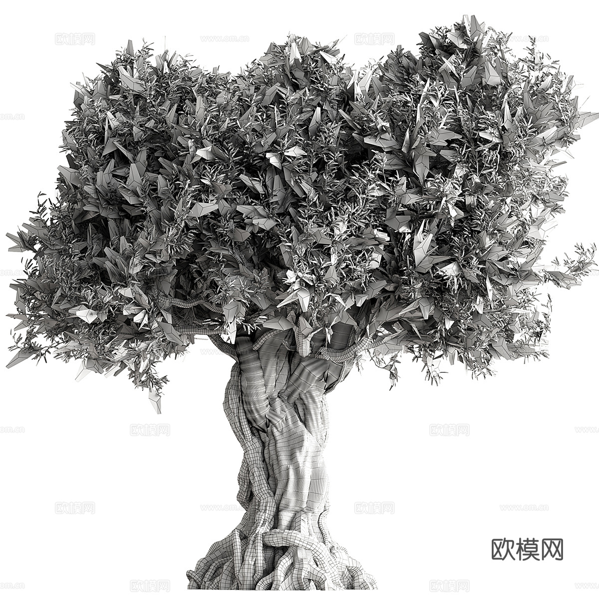 橄榄树3d模型下载（渲染图3）