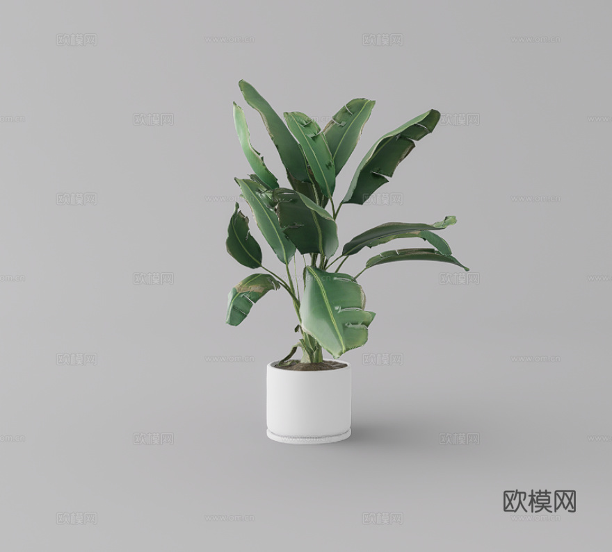 绿植盆栽su模型