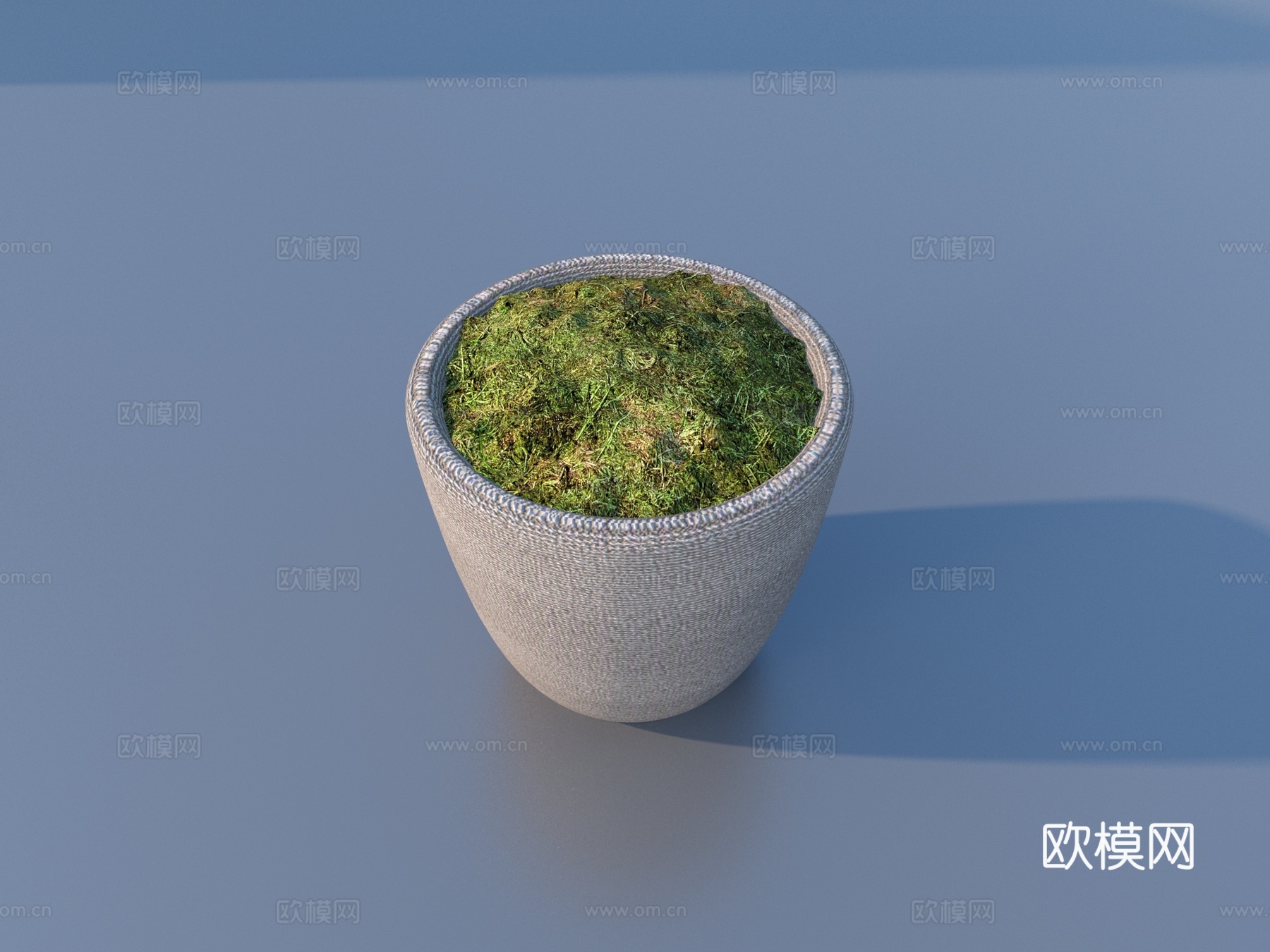 花盆 盆栽 绿植 植物3d模型下载（渲染图2）