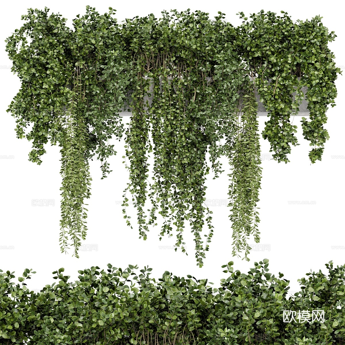 锈色混凝土盆中的吊挂植物3d模型下载