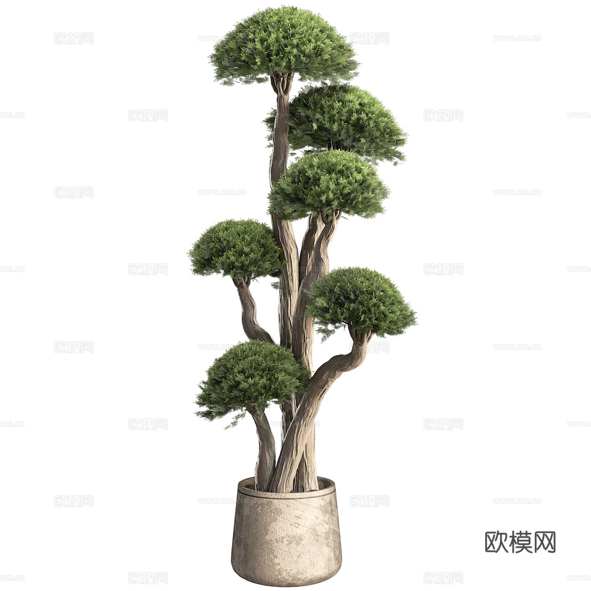 新中式侘寂绿植盆栽3d模型下载（渲染图2）