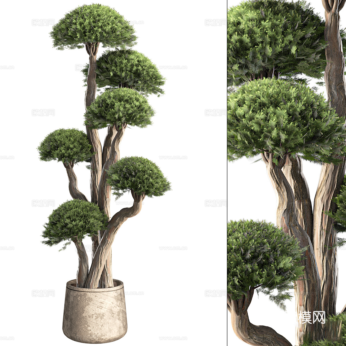 新中式侘寂绿植盆栽3d模型下载（渲染图1）