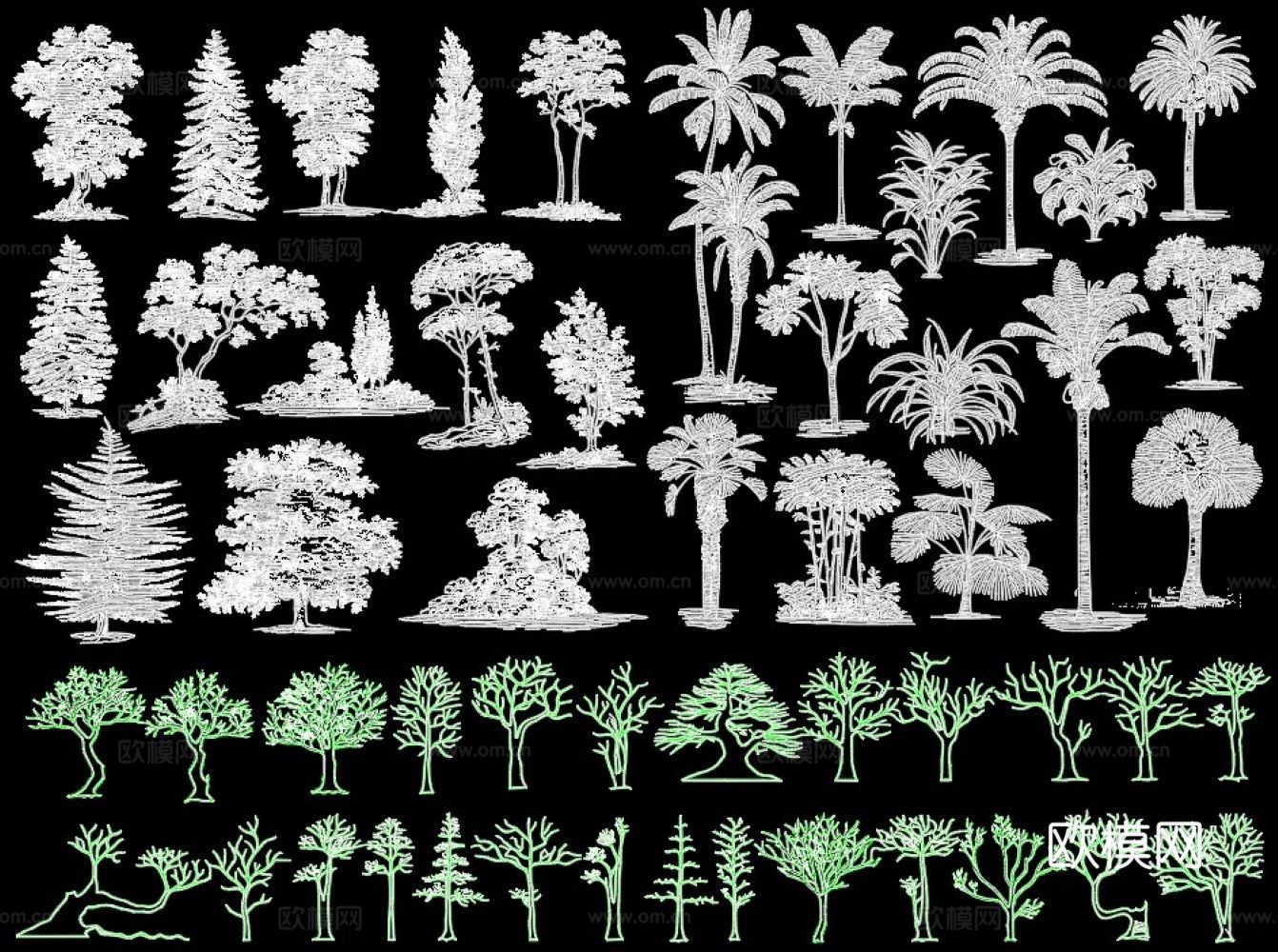 现代树木cad施工图