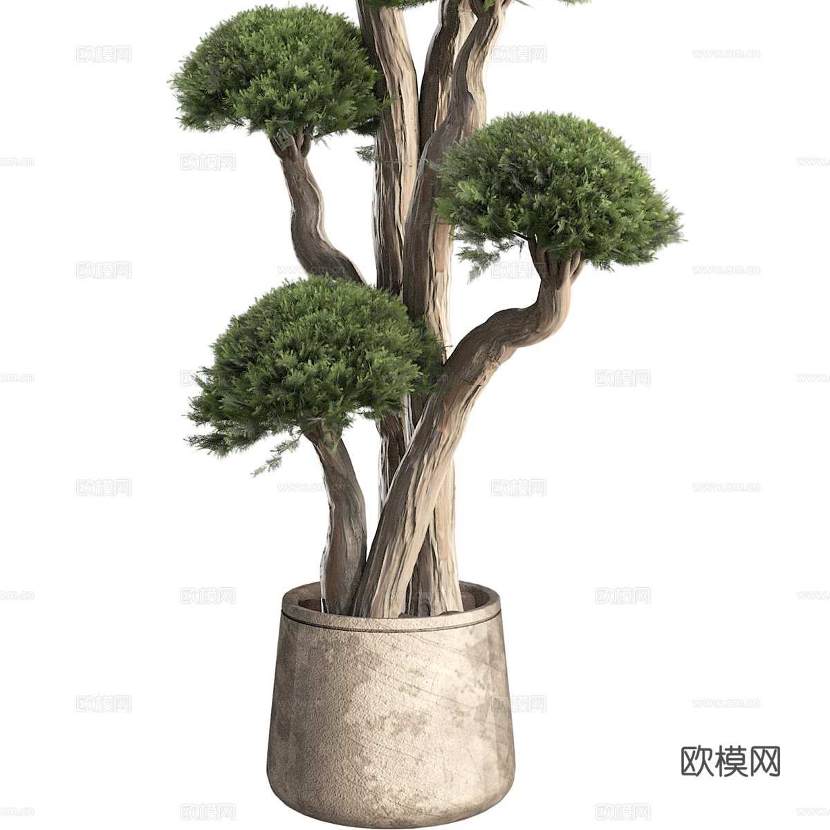 新中式侘寂绿植盆栽3d模型下载（渲染图4）