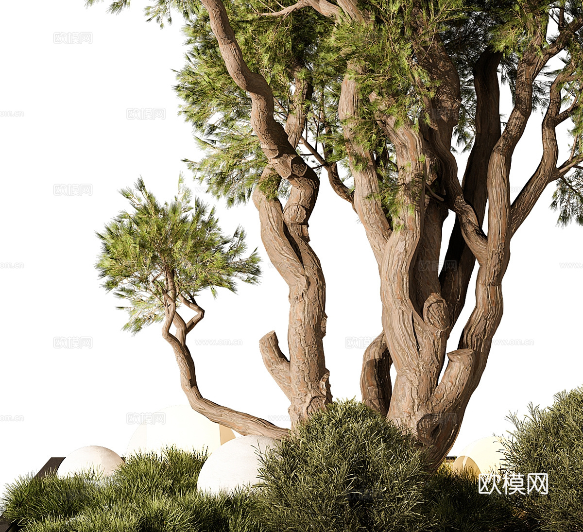 景观树3d模型下载（渲染图2）