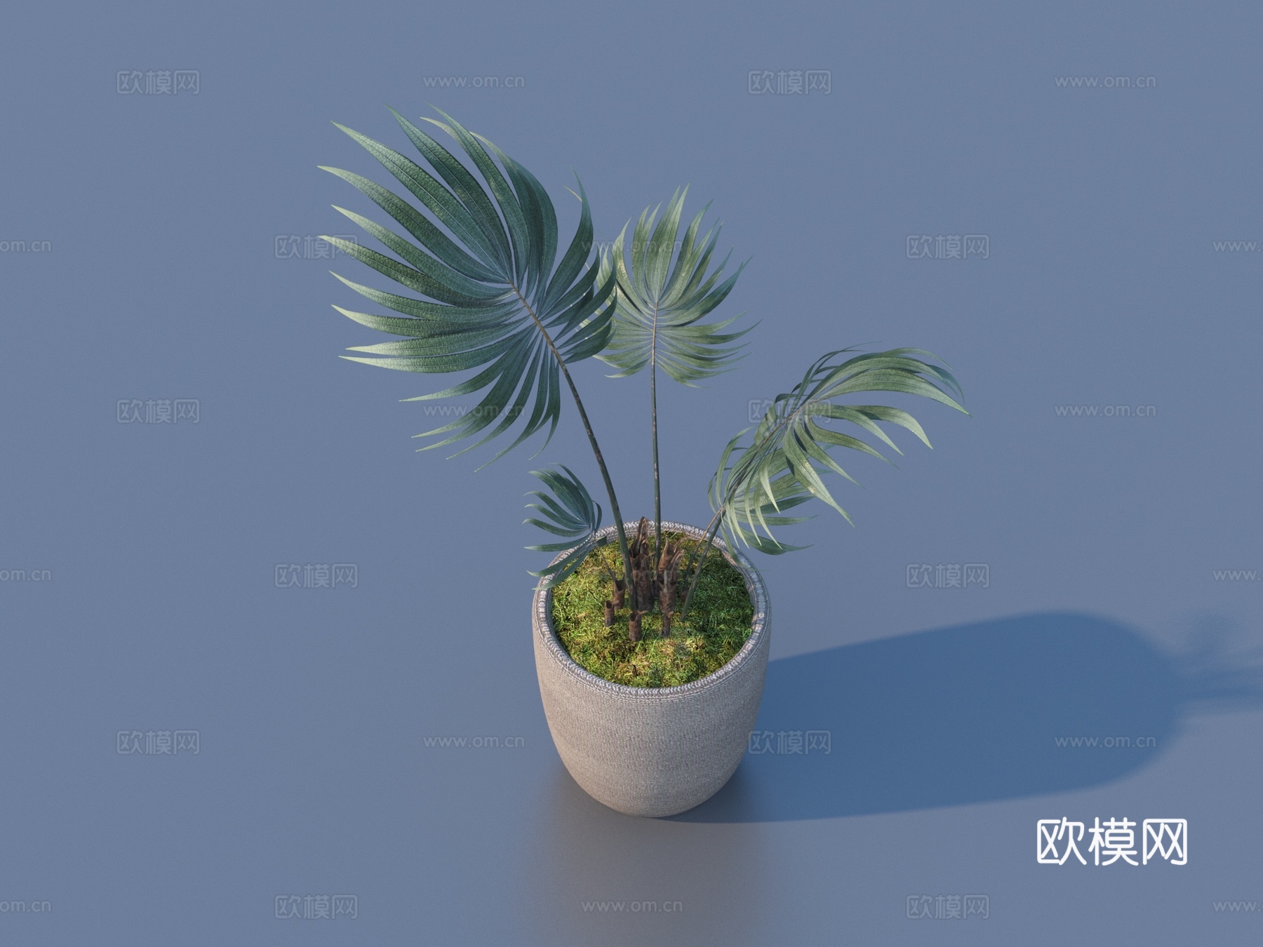 花盆 盆栽 绿植 植物3d模型下载（渲染图1）