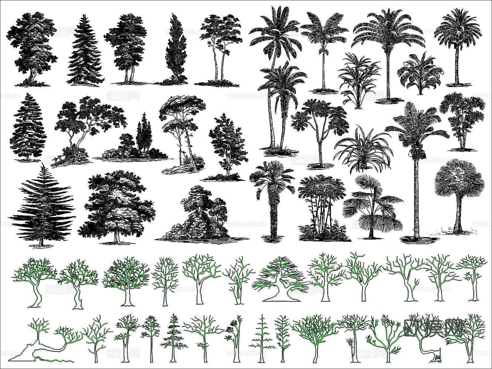 现代树木cad施工图