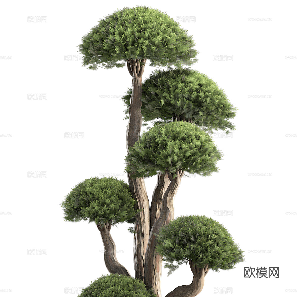 新中式侘寂绿植盆栽3d模型下载（渲染图3）