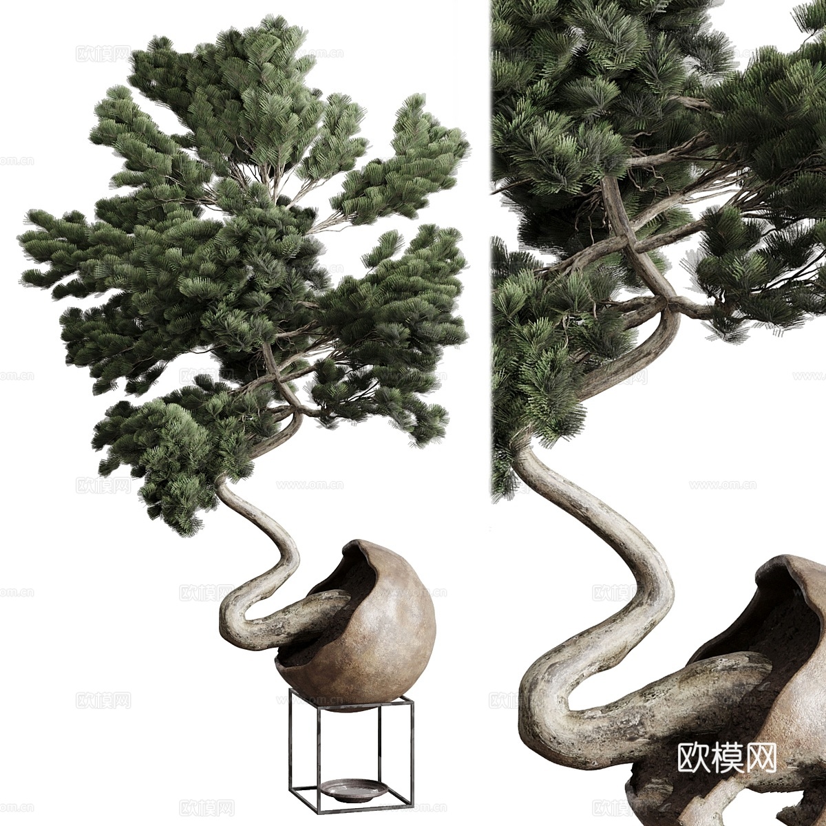 盆景013d模型下载