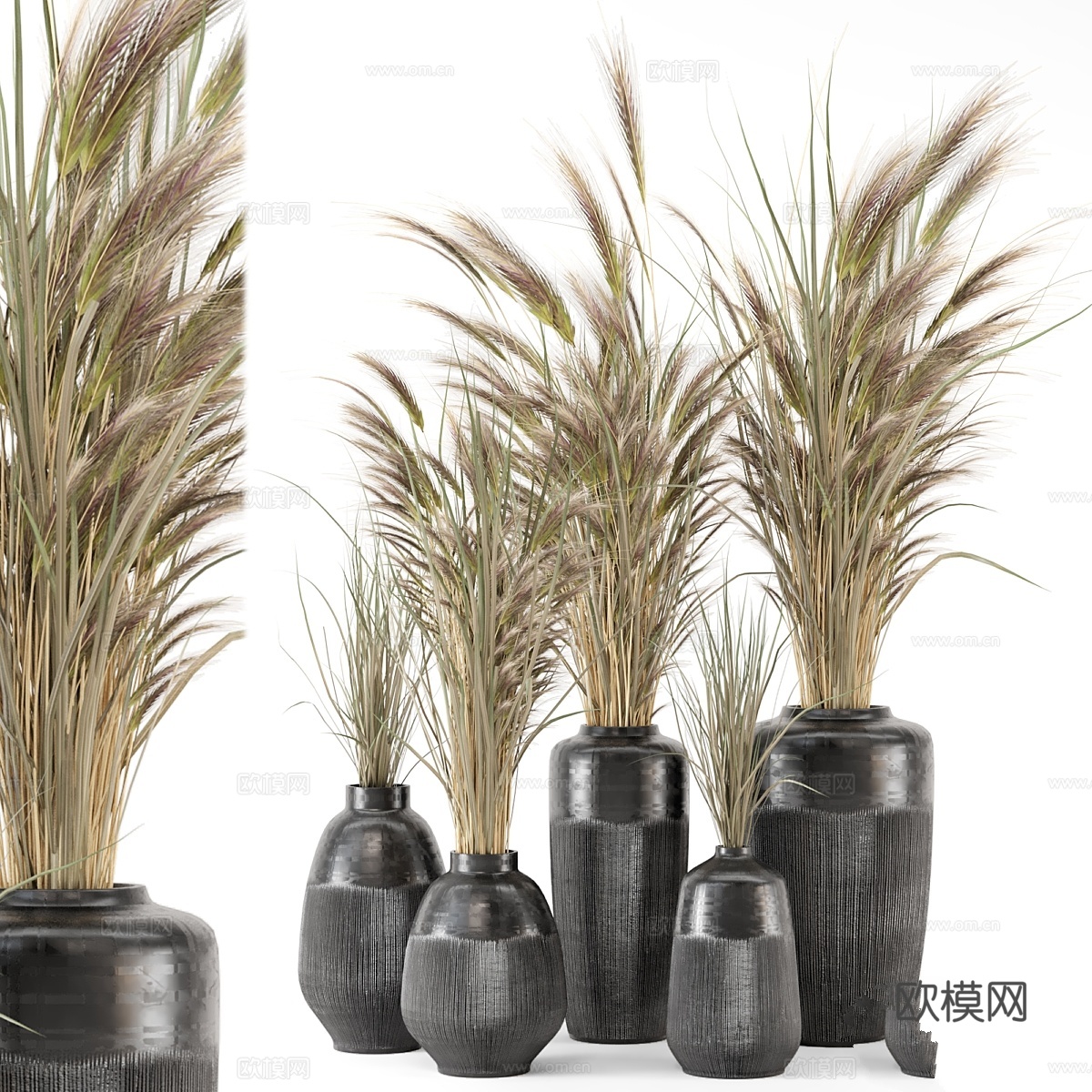 干花植物25 - 手工花瓶干花套装3d模型下载