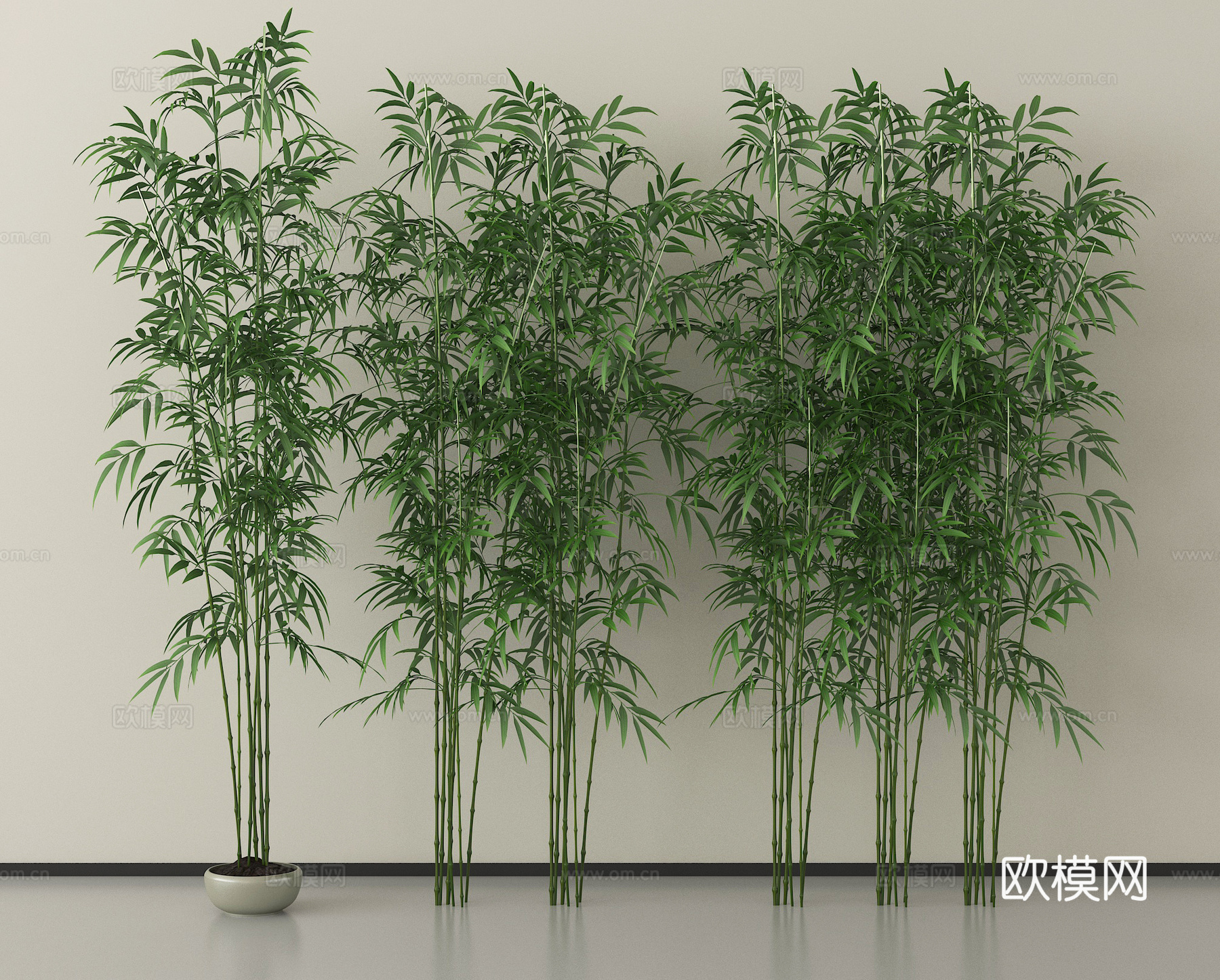 现代竹子  景观竹子su模型
