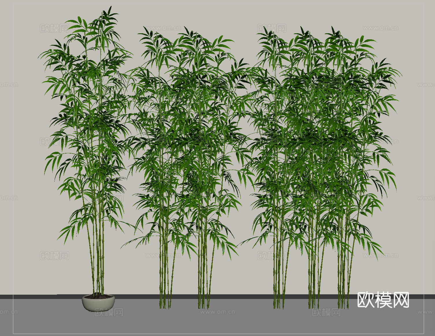 现代竹子  景观竹子su模型